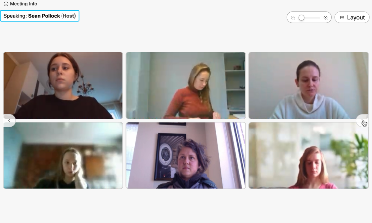 War and Society in Ukraine: Collaborative Online International Learning